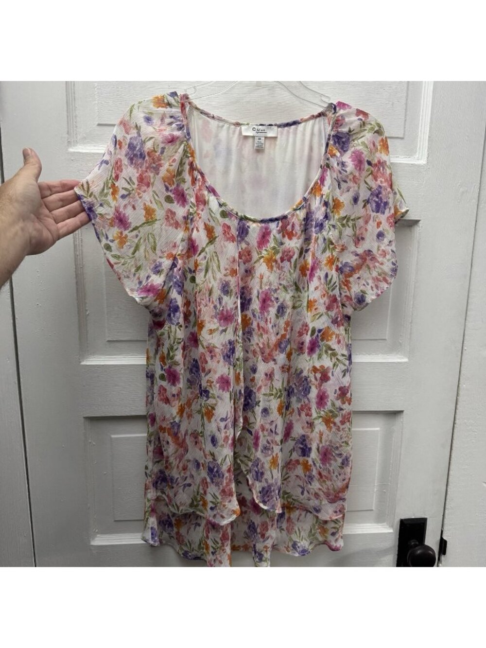C By One 2X Floral Chiffon Blouse Plus Size Flutter Sleeve Watercolor Top